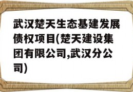 武汉楚天生态基建发展债权项目(楚天建设集团有限公司,武汉分公司)