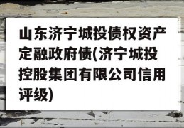 山东济宁城投债权资产定融政府债(济宁城投控股集团有限公司信用评级)