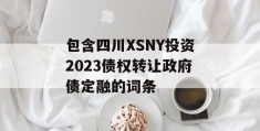 包含四川XSNY投资2023债权转让政府债定融的词条