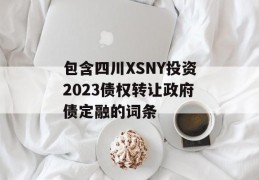 包含四川XSNY投资2023债权转让政府债定融的词条