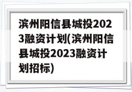 滨州阳信县城投2023融资计划(滨州阳信县城投2023融资计划招标)