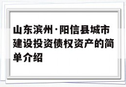 山东滨州·阳信县城市建设投资债权资产的简单介绍