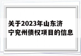 关于2023年山东济宁兖州债权项目的信息