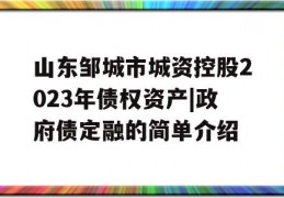 山东邹城市城资控股2023年债权资产|政府债定融的简单介绍