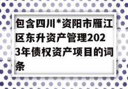 包含四川*资阳市雁江区东升资产管理2023年债权资产项目的词条