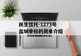 民生信托-1273号盐城非标的简单介绍