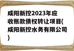 咸阳新控2023年应收账款债权转让项目(咸阳新控水务有限公司)