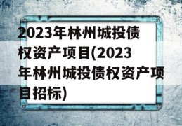 2023年林州城投债权资产项目(2023年林州城投债权资产项目招标)