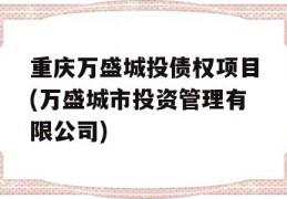 重庆万盛城投债权项目(万盛城市投资管理有限公司)