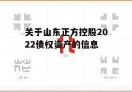 关于山东正方控股2022债权资产的信息