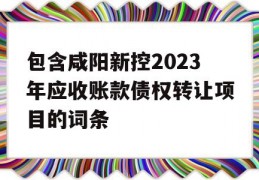 包含咸阳新控2023年应收账款债权转让项目的词条