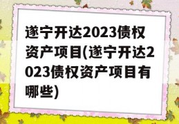 遂宁开达2023债权资产项目(遂宁开达2023债权资产项目有哪些)