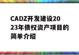 CADZ开发建设2023年债权资产项目的简单介绍