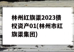 林州红旗渠2023债权资产01(林州市红旗渠集团)