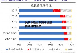 关于中胜山东济宁城投债项目的信息