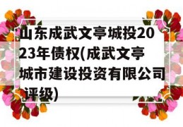 山东成武文亭城投2023年债权(成武文亭城市建设投资有限公司 评级)