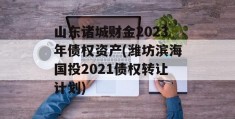 山东诸城财金2023年债权资产(潍坊滨海国投2021债权转让计划)