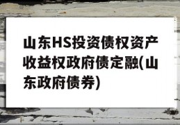 山东HS投资债权资产收益权政府债定融(山东政府债券)