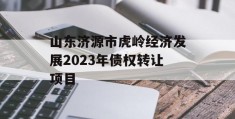 山东济源市虎岭经济发展2023年债权转让项目