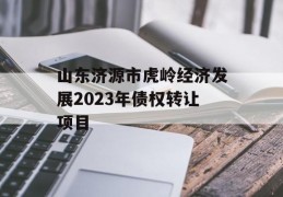 山东济源市虎岭经济发展2023年债权转让项目