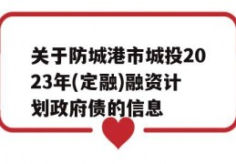 关于防城港市城投2023年(定融)融资计划政府债的信息