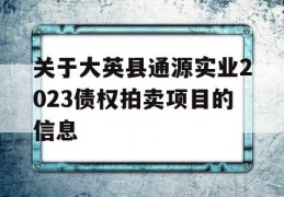 关于大英县通源实业2023债权拍卖项目的信息