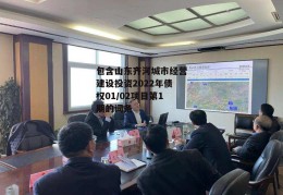 包含山东齐河城市经营建设投资2022年债权01/02项目第1期的词条