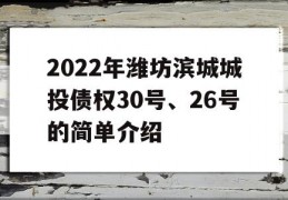 2022年潍坊滨城城投债权30号、26号的简单介绍
