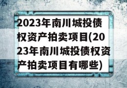 2023年南川城投债权资产拍卖项目(2023年南川城投债权资产拍卖项目有哪些)