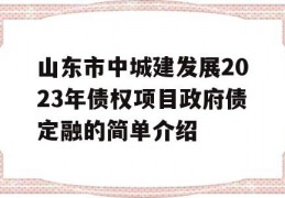 山东市中城建发展2023年债权项目政府债定融的简单介绍