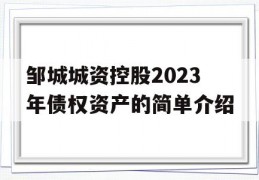 邹城城资控股2023年债权资产的简单介绍