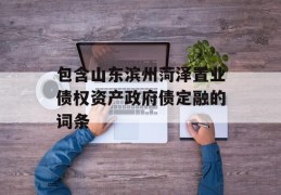 包含山东滨州菏泽置业债权资产政府债定融的词条