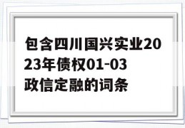 包含四川国兴实业2023年债权01-03政信定融的词条