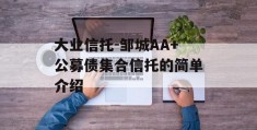 大业信托-邹城AA+公募债集合信托的简单介绍