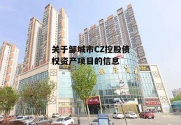 关于邹城市CZ控股债权资产项目的信息