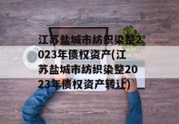 江苏盐城市纺织染整2023年债权资产(江苏盐城市纺织染整2023年债权资产转让)