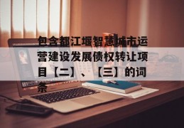 包含都江堰智慧城市运营建设发展债权转让项目【二】、【三】的词条