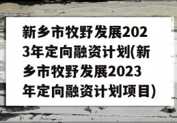 新乡市牧野发展2023年定向融资计划(新乡市牧野发展2023年定向融资计划项目)