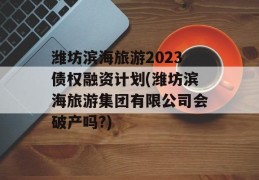 潍坊滨海旅游2023债权融资计划(潍坊滨海旅游集团有限公司会破产吗?)