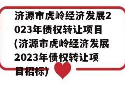 济源市虎岭经济发展2023年债权转让项目(济源市虎岭经济发展2023年债权转让项目招标)