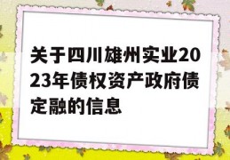 关于四川雄州实业2023年债权资产政府债定融的信息