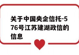 关于中国央企信托-576号江苏建湖政信的信息