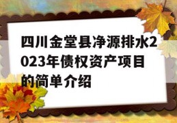 四川金堂县净源排水2023年债权资产项目的简单介绍