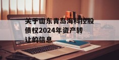 关于山东青岛海科控股债权2024年资产转让的信息