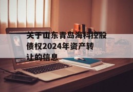 关于山东青岛海科控股债权2024年资产转让的信息