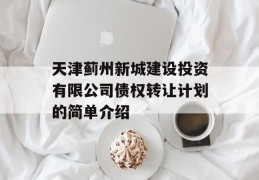 天津蓟州新城建设投资有限公司债权转让计划的简单介绍