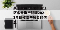 关于四川*资阳市雁江区东升资产管理2023年债权资产项目的信息