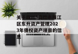 关于四川*资阳市雁江区东升资产管理2023年债权资产项目的信息