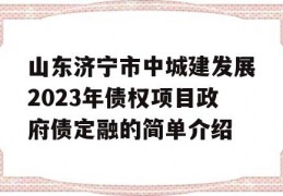 山东济宁市中城建发展2023年债权项目政府债定融的简单介绍