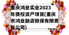 重庆鸿业实业2023年债权资产项目(重庆市鸿业融资担保有限责任公司)